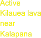 Active Kilauea lava  near Kalapana