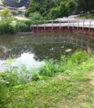 Iphone July 2011 287