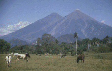 A quiet Fuego Volcano