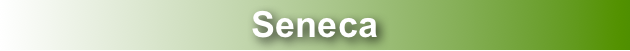 Seneca