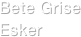 Bete Grise Esker