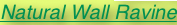 shapeimage_3_link_11