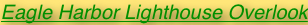 shapeimage_3_link_1