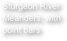Sturgeon River Meanders, with point bars