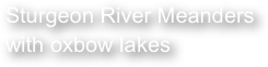 Sturgeon River Meanders with oxbow lakes