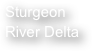 Sturgeon River Delta