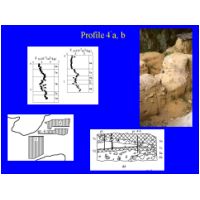 Slide15.JPG