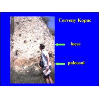 Slide78.JPG