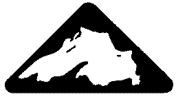 ILSG LOGO