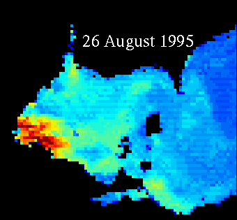 Microcystis Bloom in Western Lake Erie