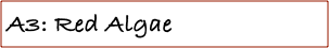 A3: Red Algae