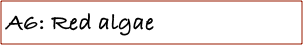 A6: Red algae