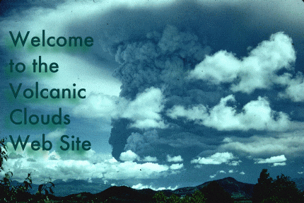 homepage2.gif - 86015 Bytes